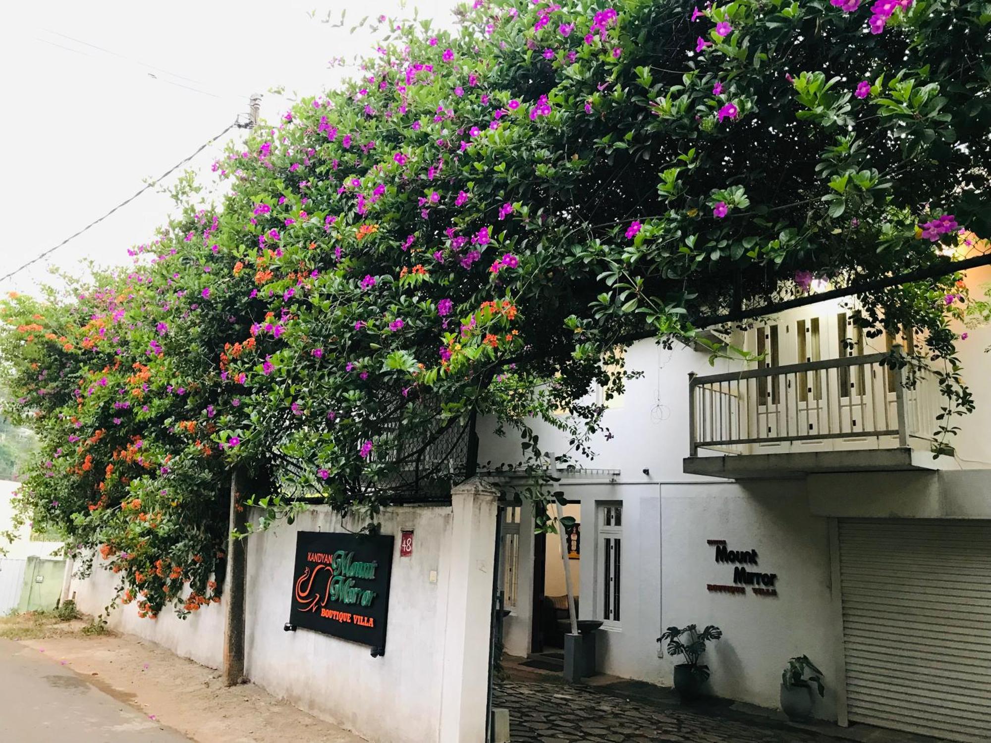 Kandyan Mount Mirror Boutique Villa Ngoại thất bức ảnh
